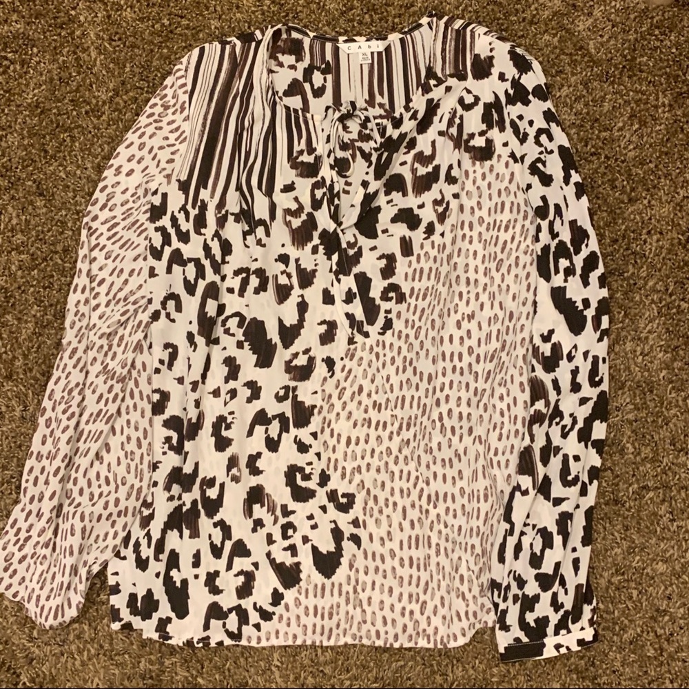 Cabi Sheer Top